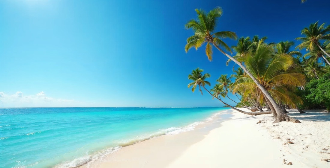 Punta Cana beach with palm trees, Dominican Republic